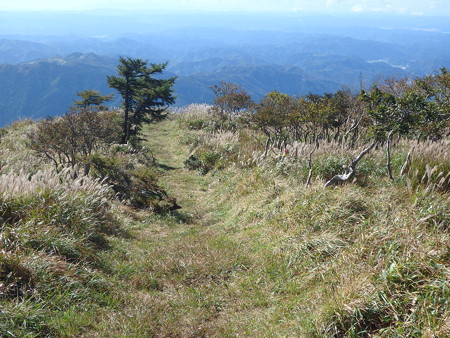 PA080058
