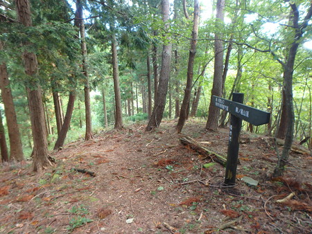 PA080065