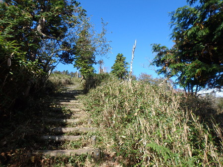 PA140028