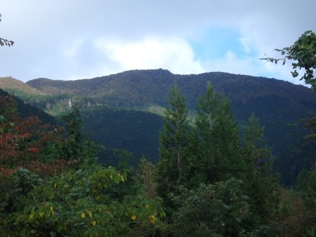 PA140067