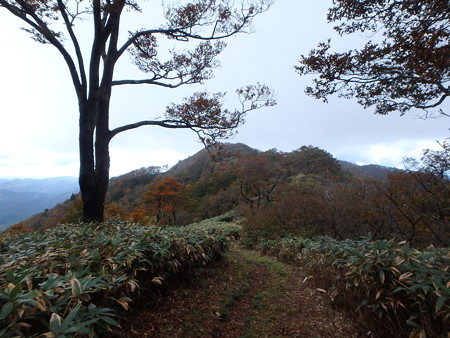 PA200070