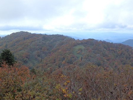PA200081