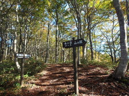 PA210135