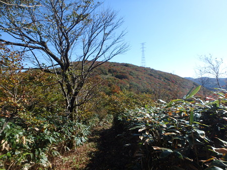 PA210151