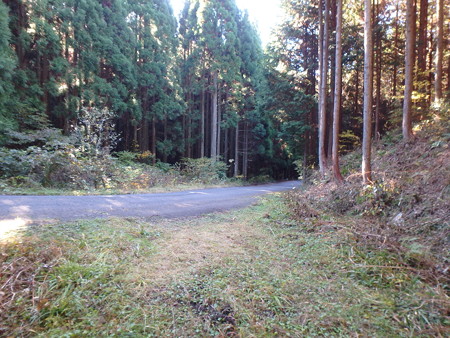 PB030064