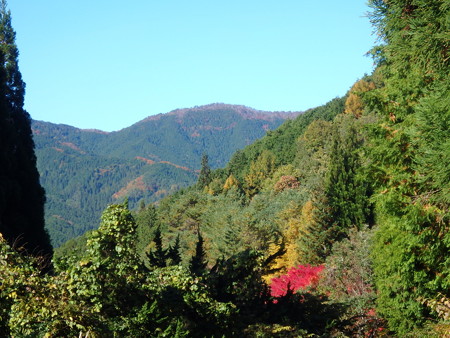 PB030067