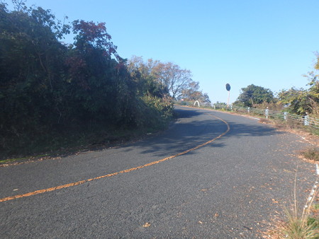 PB250021