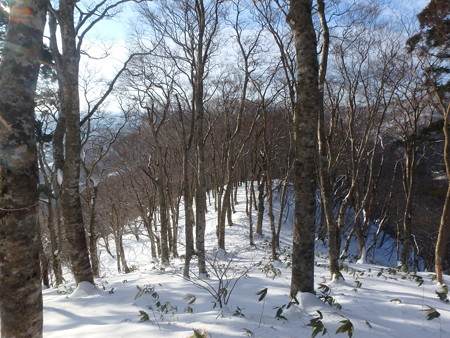 P1190017