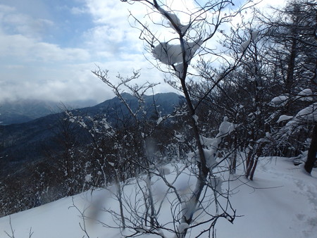 P2020038