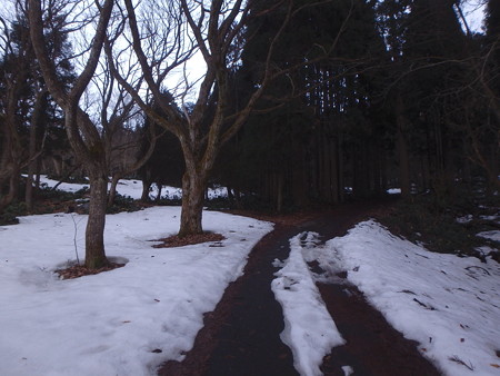 P3030003