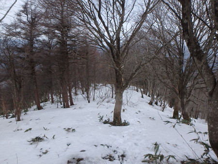 P3030035