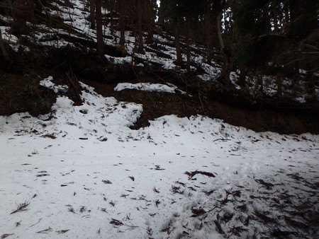 P3030049