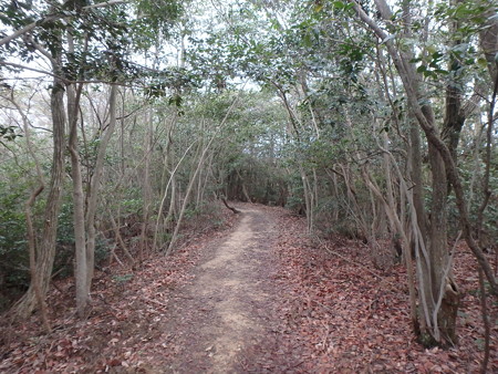 P3170019