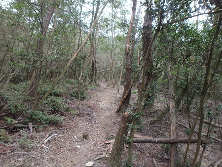 P3300017