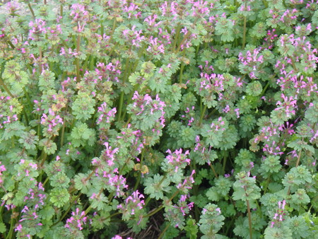 P3300032