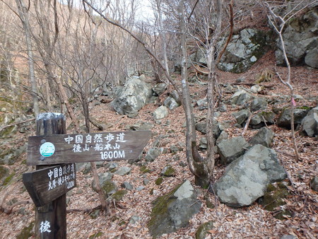 P4060003