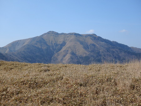 P4200050
