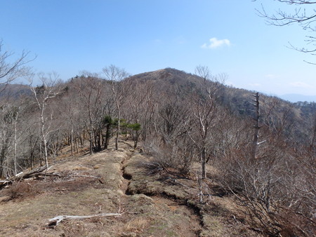 P4200028