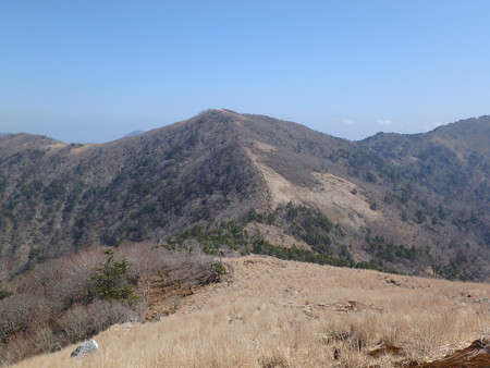 P4200035