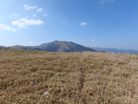 P4200049