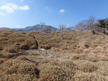 P4200052