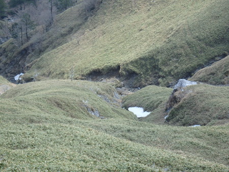 P4210112