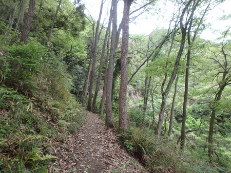 P4280002
