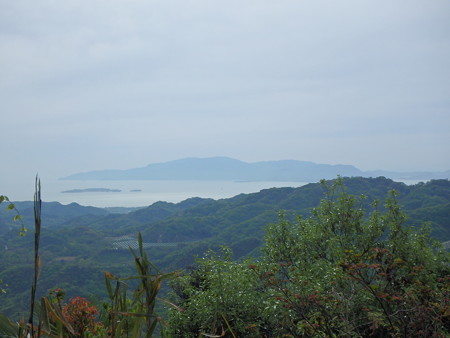 P4280008