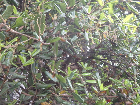 P4280022