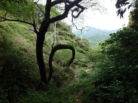 P4280030