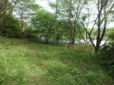 P4280032