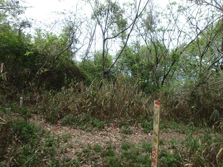 P4280045