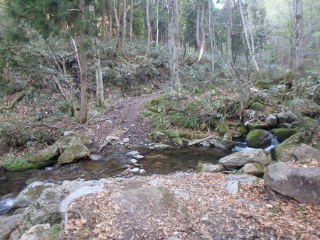 P5030005