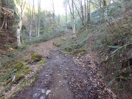 P5030008
