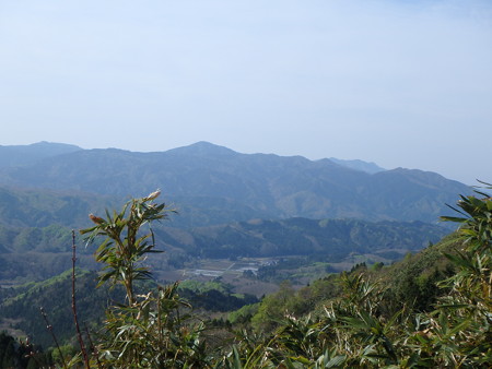 P5030016