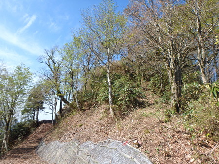 P5030024