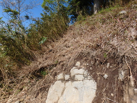 P5030027