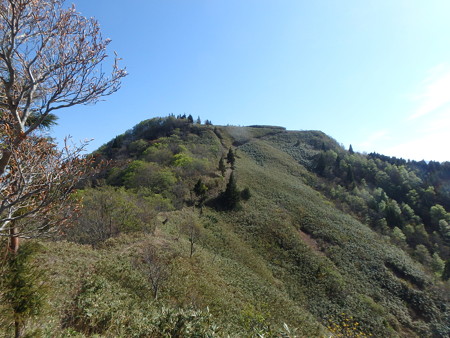 P5030033