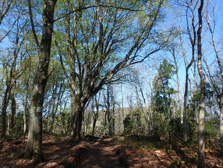 P5030039