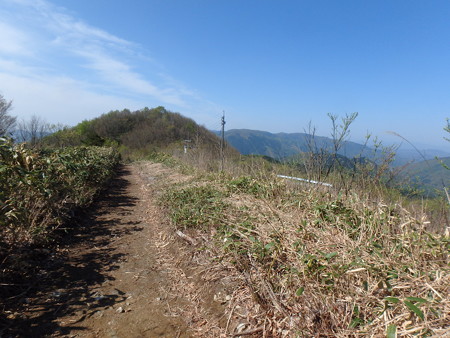 P5030054