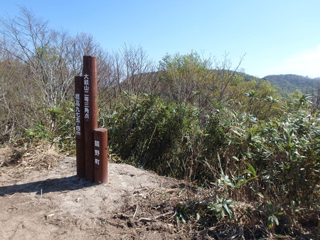 P5030057