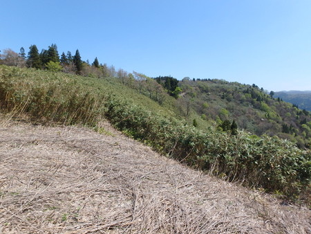 P5030090