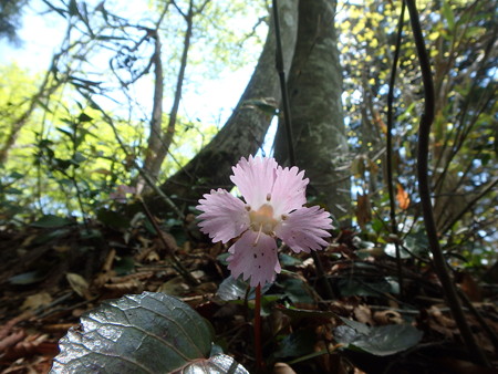 P5030114