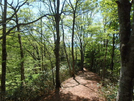 P5030116