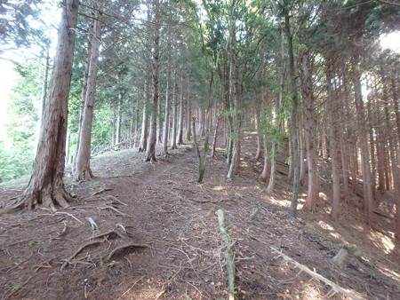 P6010011