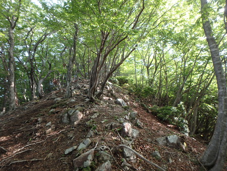 P6010018