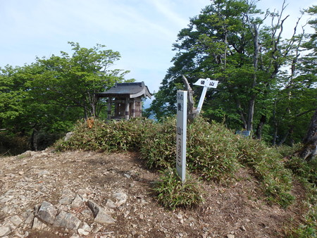 P6010028