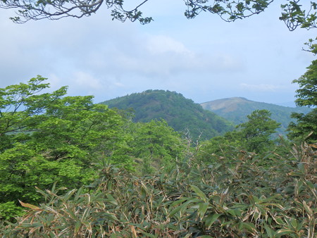 P6010029