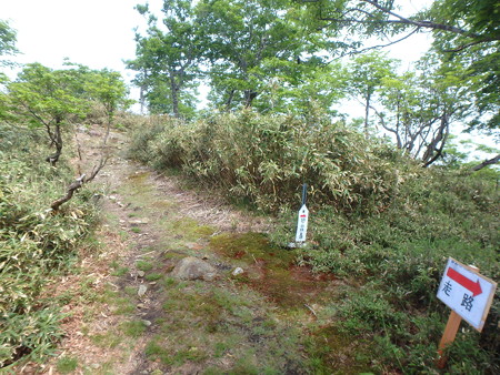 P6010036