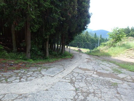 P6010063